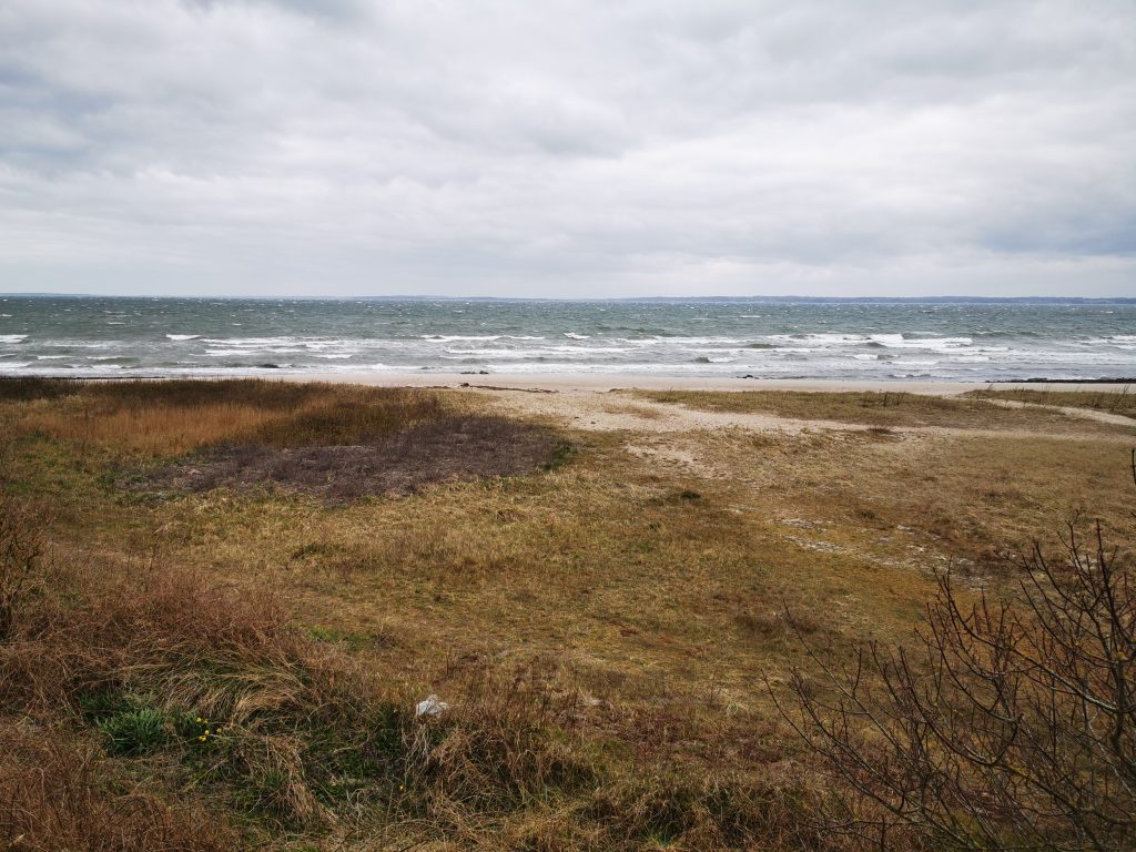 Dageløkke strand i blæst