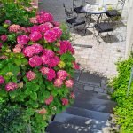 baggård4 - Kopi - Kopi